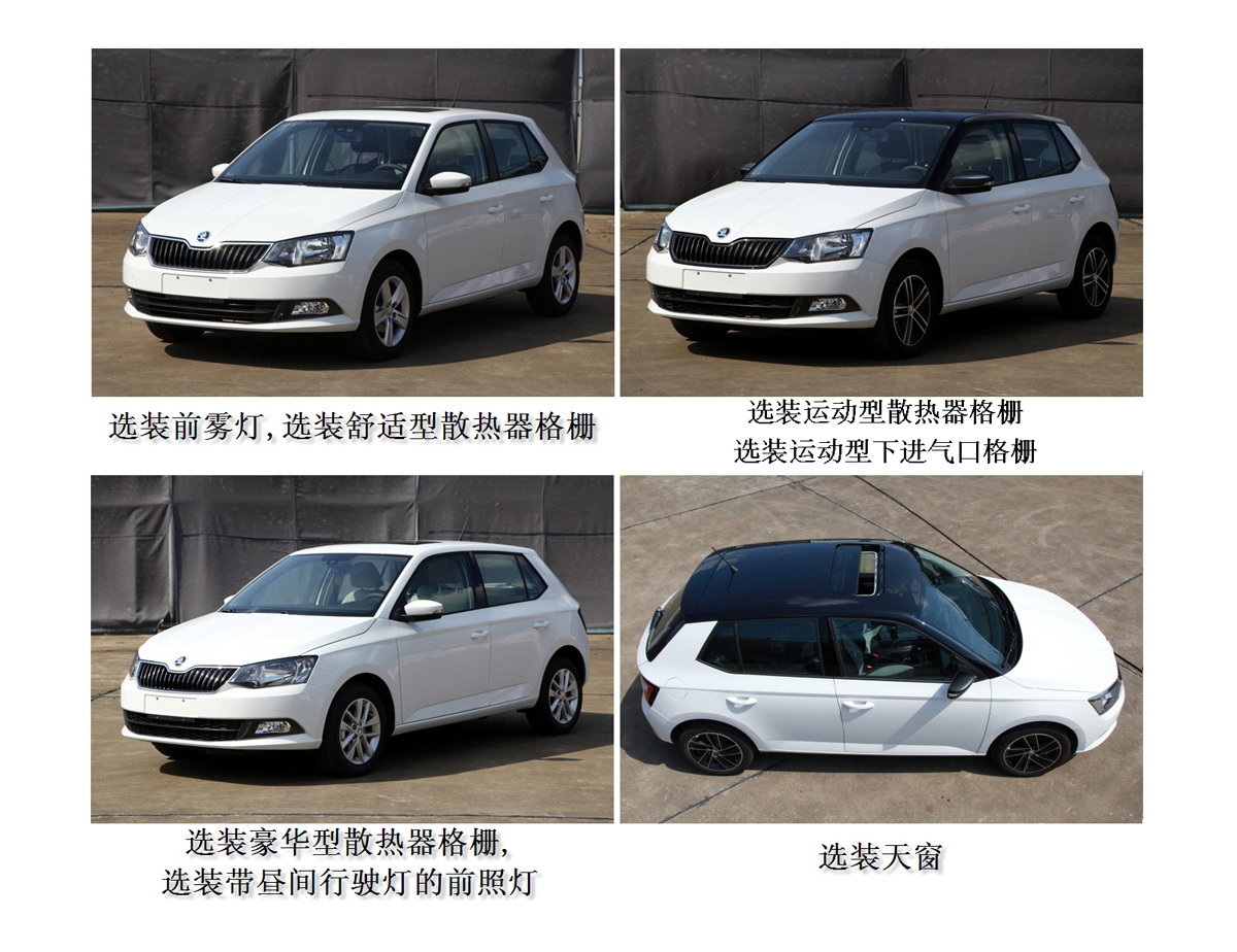 选装前雾灯,舒适型散热器格栅,运动型散热器格栅,运动型下进气口格栅,豪华型散热器格栅,带昼间行驶灯的前照灯,天窗,下进气口光亮饰条,带昼间行驶灯的投射式前照灯;ABS系统型号为:6RD 614 117*,6RD 614 517*,生产企业为:博世汽车部件(苏州)有限公司