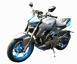 升仕两轮摩托车 zt300-r