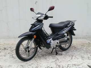 金城铃木_SJ110-F_两轮摩托车_汽车公告