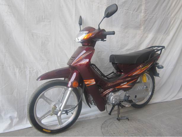 富威_FW48Q_两轮轻便摩托车_汽车公告