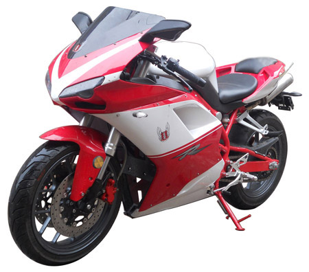 望江_WJ300GS_两轮摩托车_汽车公告