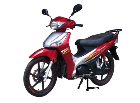 大阳_DY110-5_两轮摩托车_汽车公告