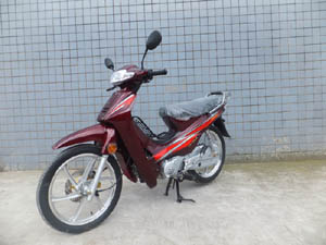 金鹰_JY110-A_两轮摩托车_汽车公告