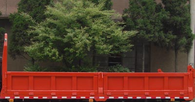 十通自卸汽车 STQ3161L12Y2N4