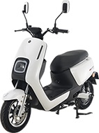 綯Ħг AM500DQT-D