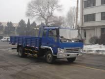 金杯牌 SY1103BR6Y 载货汽车