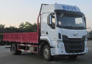 乘龙牌 LZ1166M3AB 载货汽车