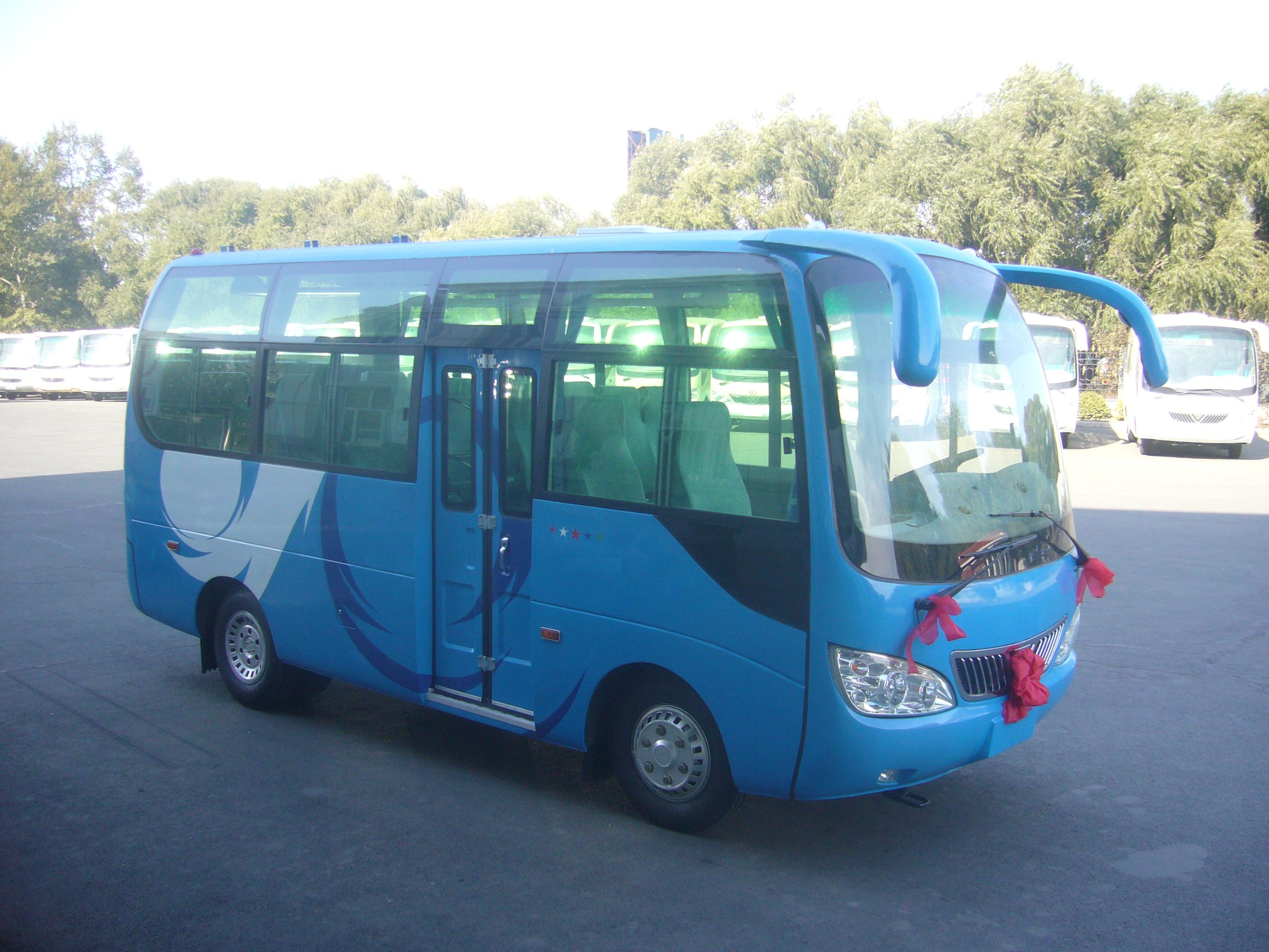 扬子江客车 wg6600cqn