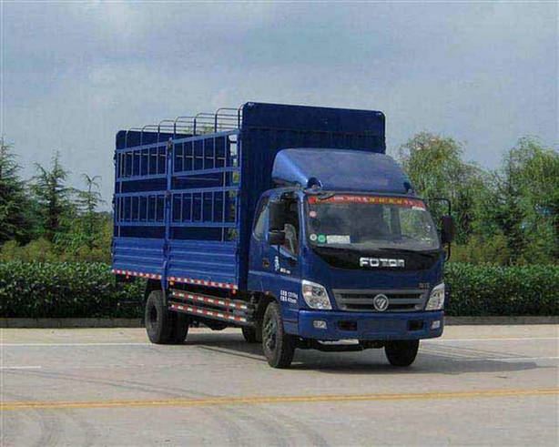 Foton bj5121vhcfg d