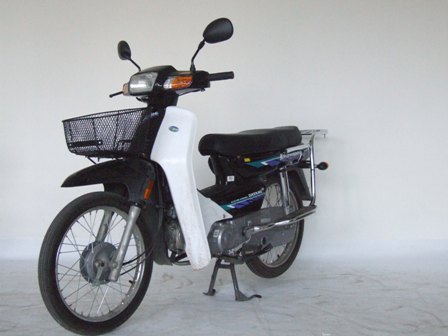 大阳两轮摩托车 dy100-c