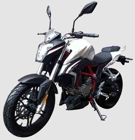 隆鑫两轮摩托车 lx300-6a