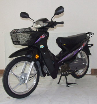 大阳两轮摩托车 dy110-2e