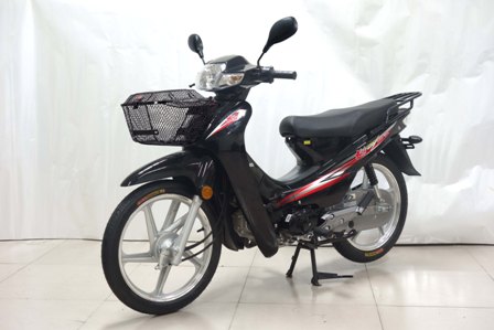 大阳两轮摩托车 dy110-2e
