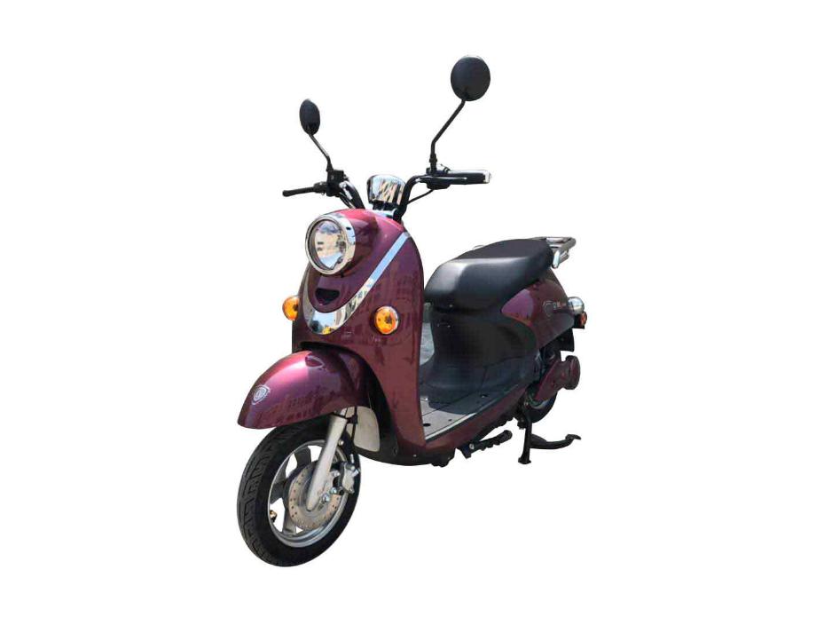 立箭电动两轮轻便摩托车 lj800dqt-5