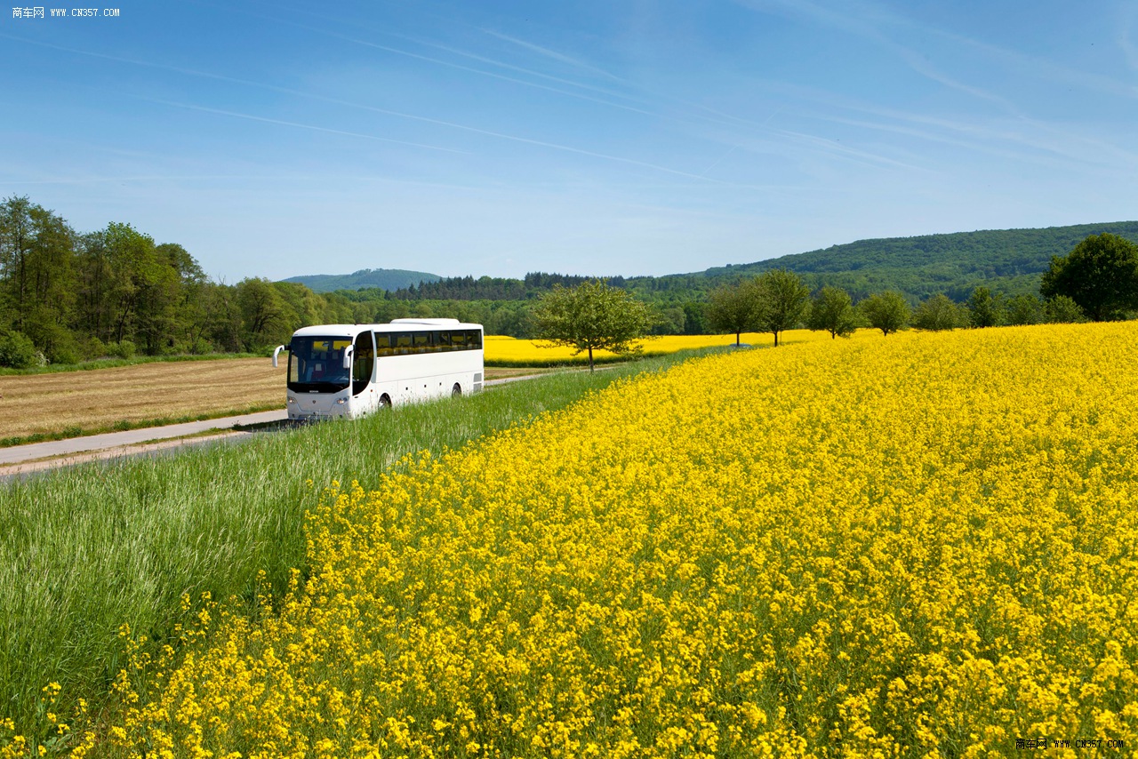 斯堪尼亚客车图片