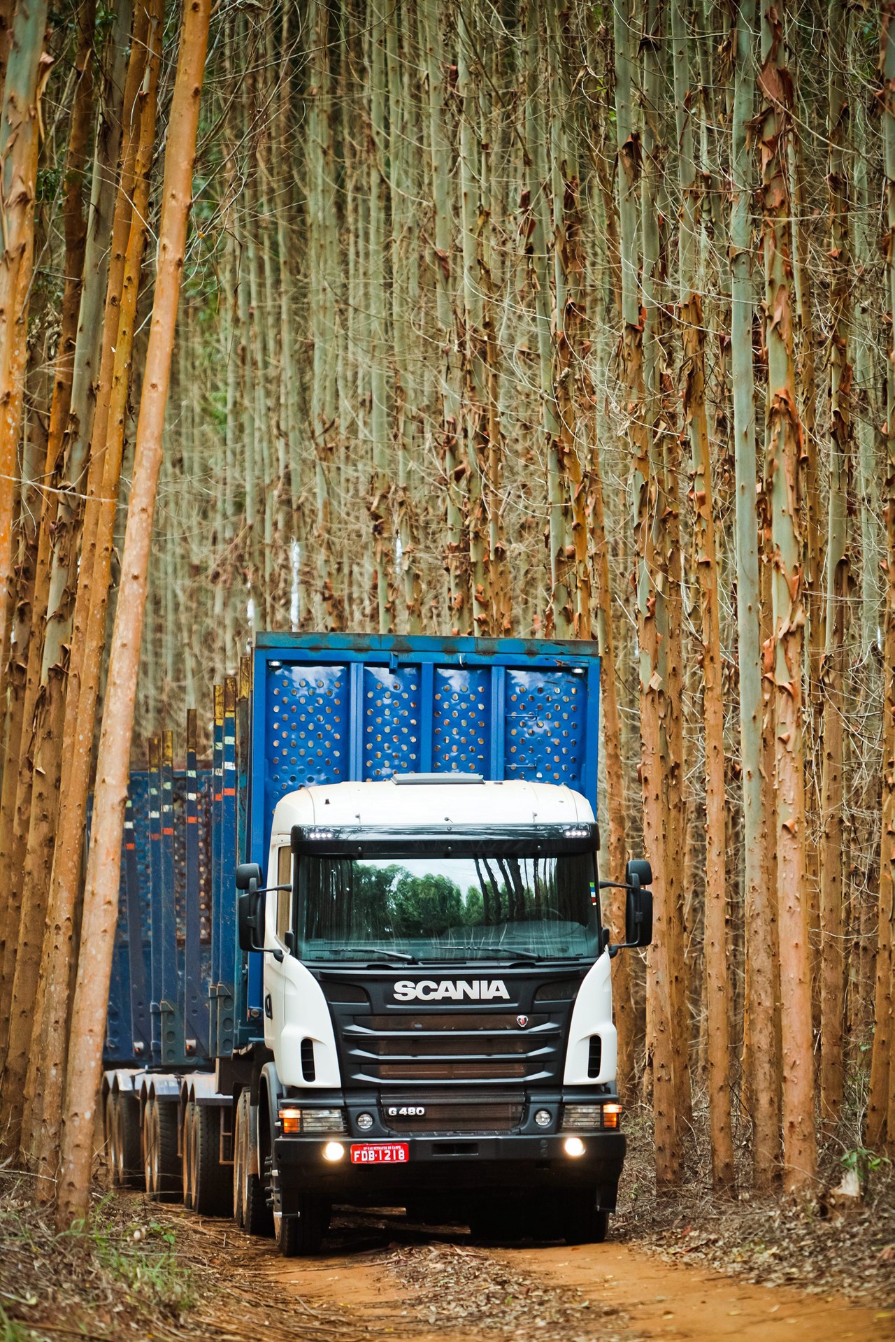 斯堪尼亚卡车g系列查看小图提示:支持键盘翻页 ←左右