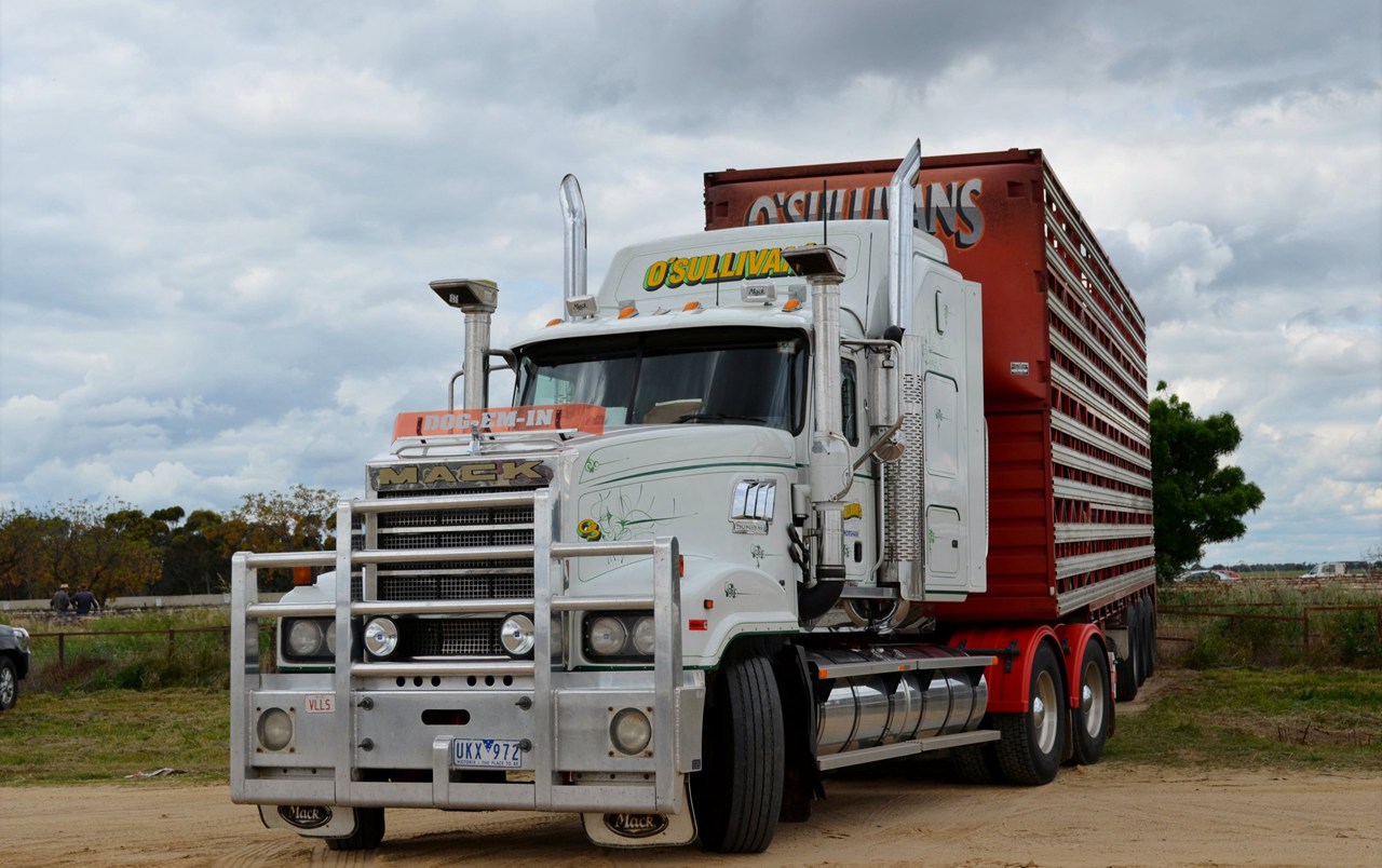 迈克卡车车型图片